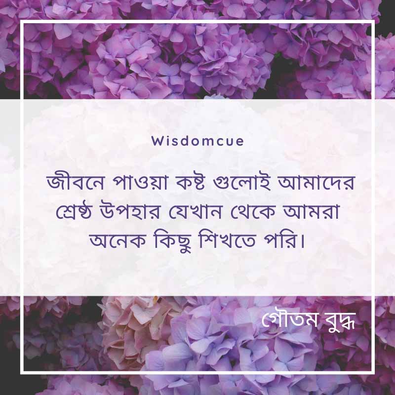 buddha Quotes Wisdomcue 7