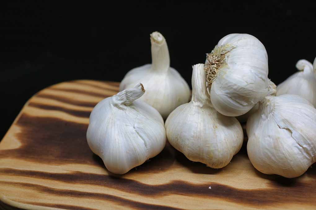 রসুন Garlic for boost immunity