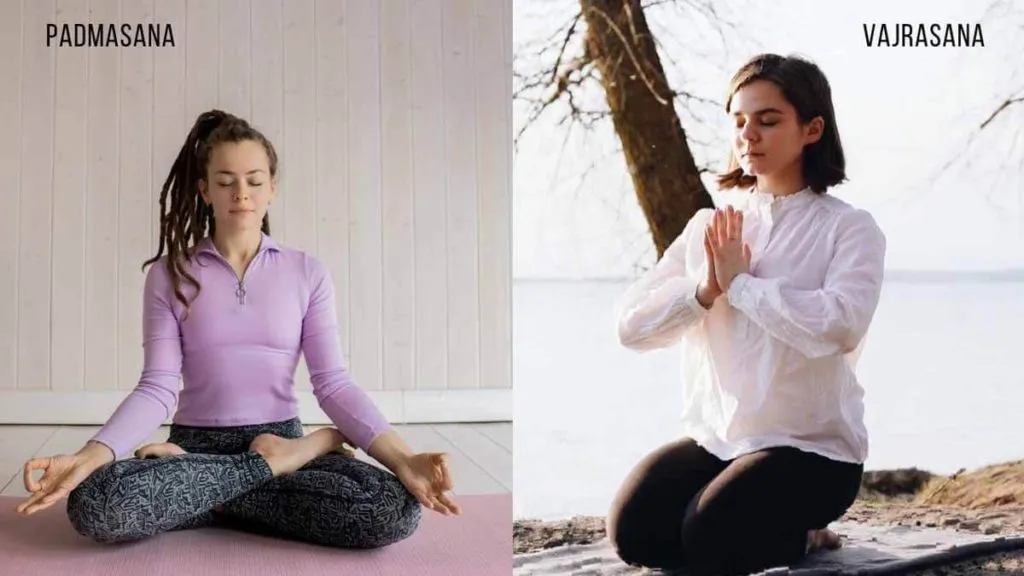 জেনেনিন কিভাবে মেডিটেশন করবেন | How To Meditate In Bengali 2 padmaasan & vajrasana