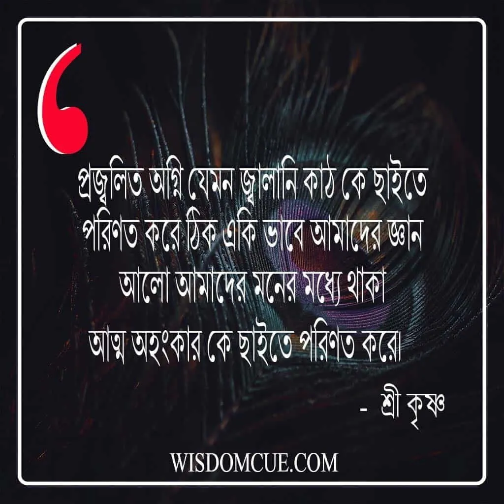 শ্রী কৃষ্ণ উপদেশ 